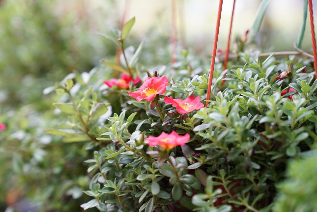 保育士の人手不足が深刻な東京での転職活動のポイントは？