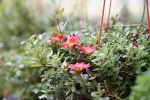 保育士の人手不足が深刻な東京での転職活動のポイントは？