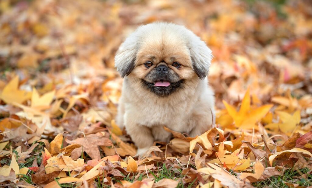 保育士が東京で転職するのはいつがいい？