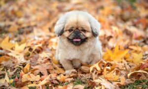 保育士が東京で転職するのはいつがいい？