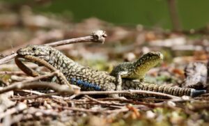 保育士の家賃補助を23区で比較するポイントは？