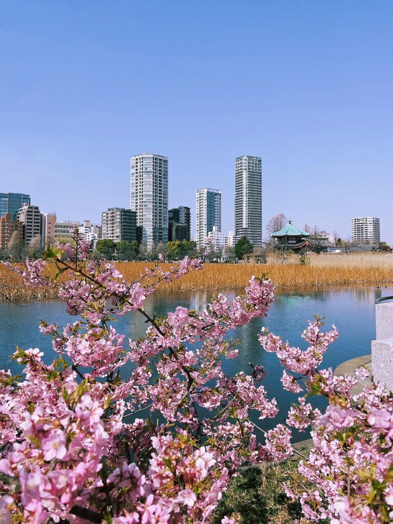東京23区で保育士が一人暮らしをするのにおすすめの区は？
